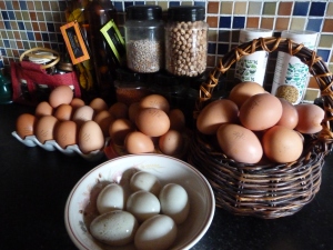 Eggs glorious eggs at Afton Water B&B